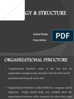 Strategy & Structure: Anjana Pandey 201078 Pooja Mishra 201079