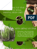 Sinh PTT PDF