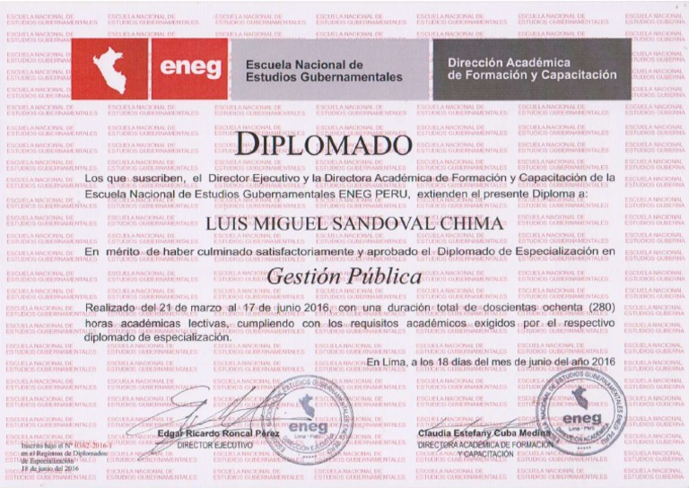 Diplomado En Gestion Publica Pdf