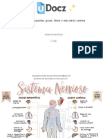 Sistema Nervioso Documento