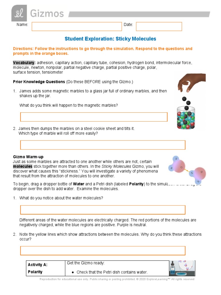 Sticky Molecules Student Pdf Chemical Polarity Surface Tension
