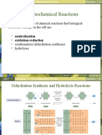 1.3c Biochemical Reactions - Neutralization and Oxidation Reduction