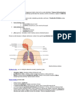 Dychacia Sustava Poznamky