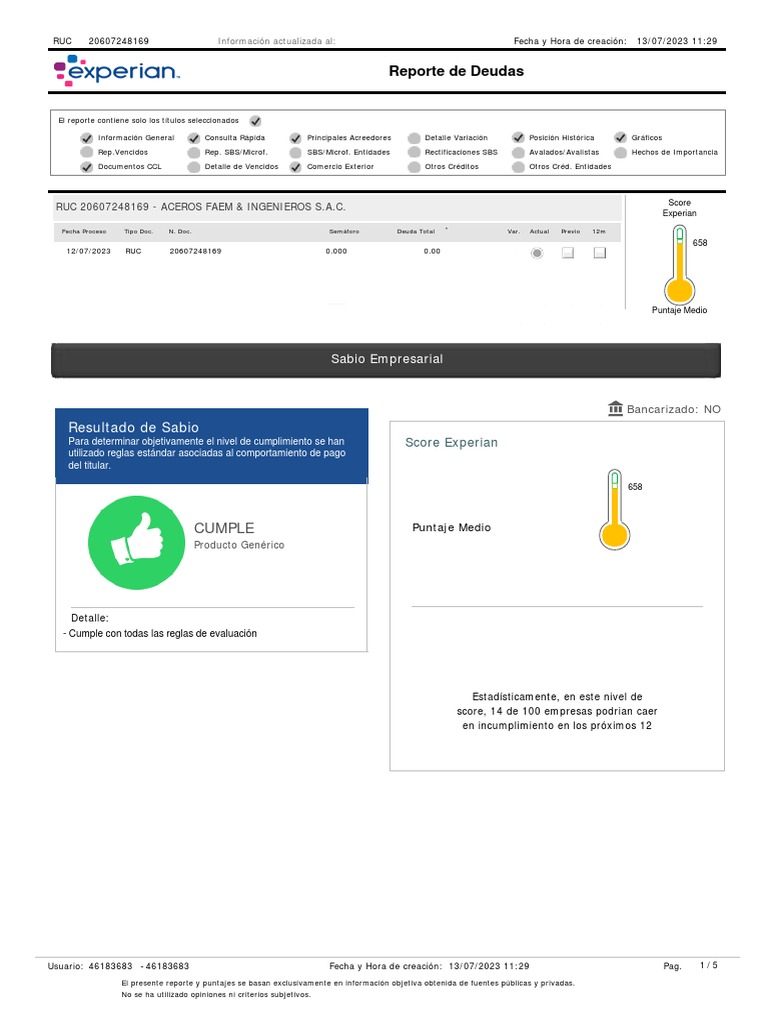 Reporte de Deuda ACEROS FAEM 2023 | PDF | Deuda | Business