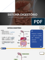 Fisiologia - A1 - Sistema Digestorio