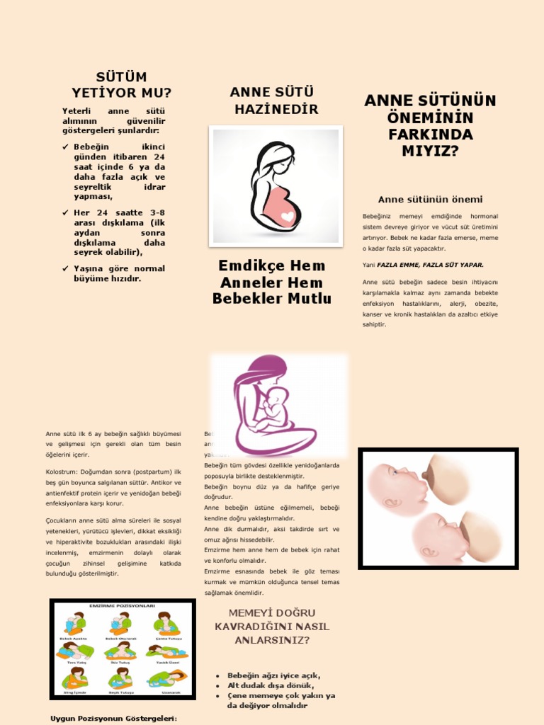Broşür 1 | PDF