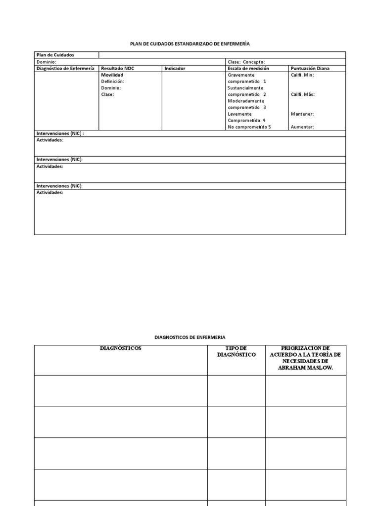 Formato de Plan de Cuidados de Enfermería | PDF | Enfermería | Cuidado ...