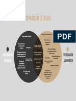 Diagrama Aspectos Comunes