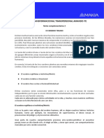 AMÁNDOTE - Notas Complementarias 2V17