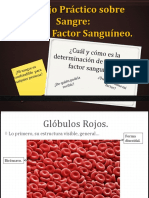 Trabajo Práctico Sobre Sangre, Presentación.