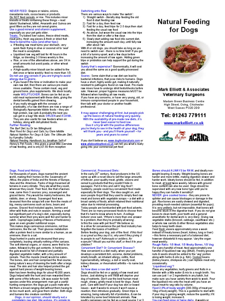 Curated visual reference: Natural Feeding Guidelines For Dogs Pdf Vegetables Photo Inspiration
