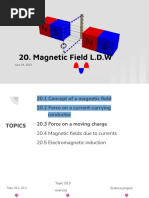 20 Magnetic Field