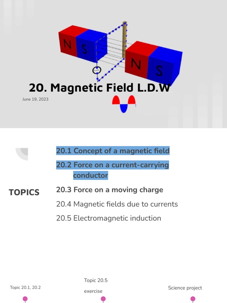 Understanding Magnetic Forces and Fields | PDF | Magnetic Field | Force