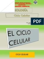 El Ciclo Celular ....