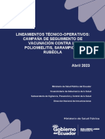 Lineamientos CV