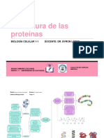 Biología Celular Estructura de Las Proteínas