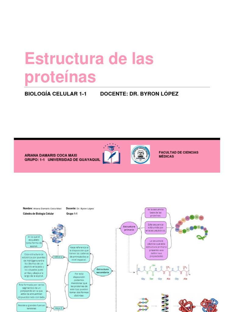 Funciones de las Protenas en Biologa | PDF | Salud y bienestar