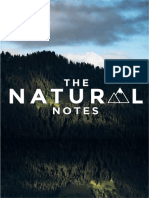 The Natural - English - Notes