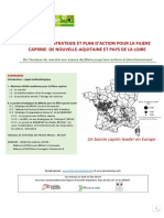 000 Projet Strategique Caprin Brilac - Rexcap v3