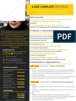 CV Luis Medina Docente