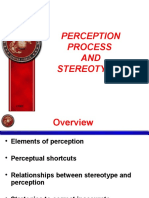 Perception Process and Stereotypes