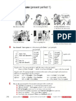 Present perfect and past simple