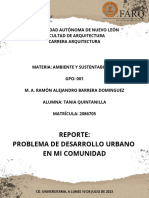 Reporte - Problema de Desarrollo Urbano Ambiental en Mi Comunidad