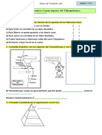 Ficha de Trabajo B 11 de Julio DPC