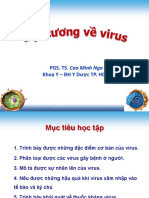 Bài 2 Đ I Cương Virus