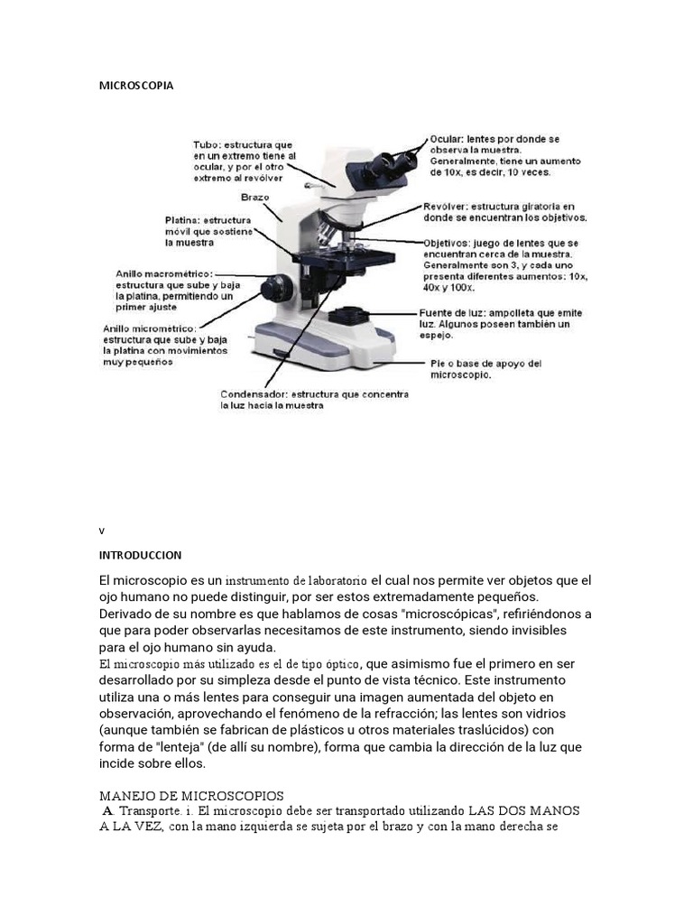 Tipos y uso del microscopio óptico | PDF | Microscopio | Óptica