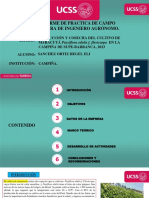 PDF Maracuya Sanchez