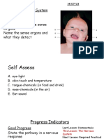 The Nervous System Do Now Activity Labels A-E Show The Sense Organs Name The Sense Organs and What They Detect