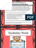 What Is A Pal Vocabulary Words
