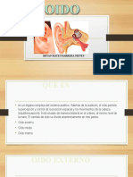 Anatomia Del Oido