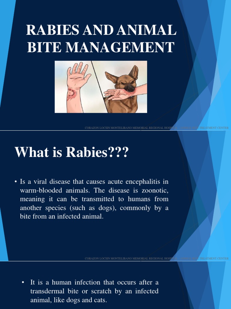 Rabies Awareness and Management Guide | PDF | Rabies | Clinical Medicine
