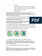 Informe 9 Laboratorio