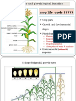 Lecture 4 Crop Environment