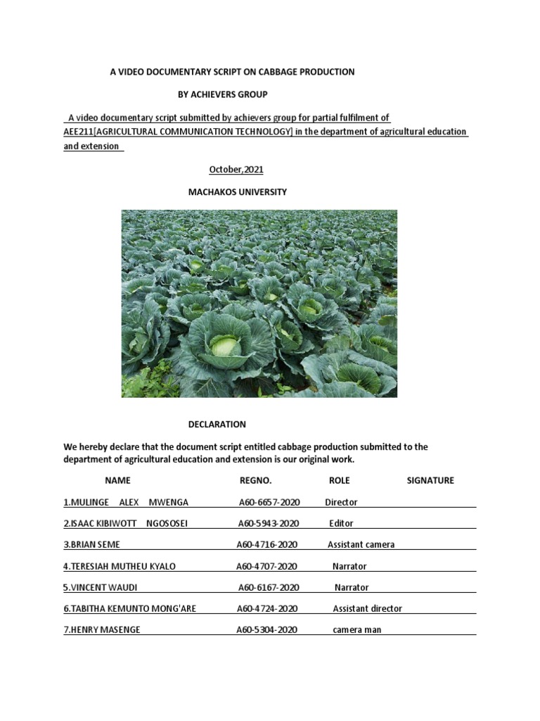 Cabbage Production Documentary Script | PDF | Plant Nursery | Seedling