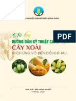 Hướng Dẫn Kỹ Thuật Canh Tác Cây Xoài