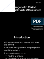 Organogenetic Period