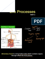 Life Process Public Live