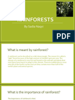 Rainforests 1