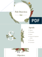 Fish Dissection Report Example