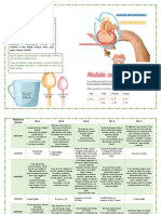 Guia Nutricional Prevención de Obesidad