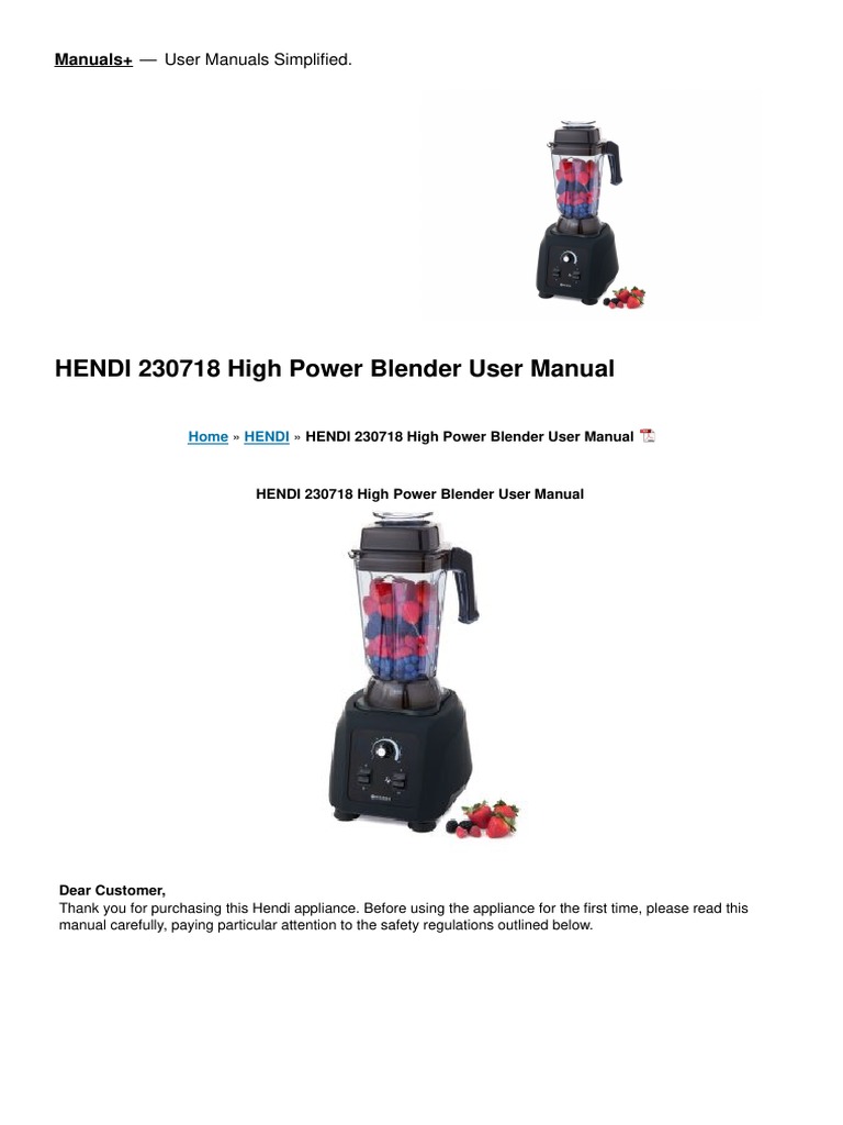 High Power Blender Manual PDF Ac Power Plugs And Sockets Waste