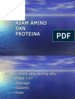 Asam Amino Dan Proteina