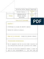 Naranjo-Derecho - Laboral-Taller1. Concepto Propio