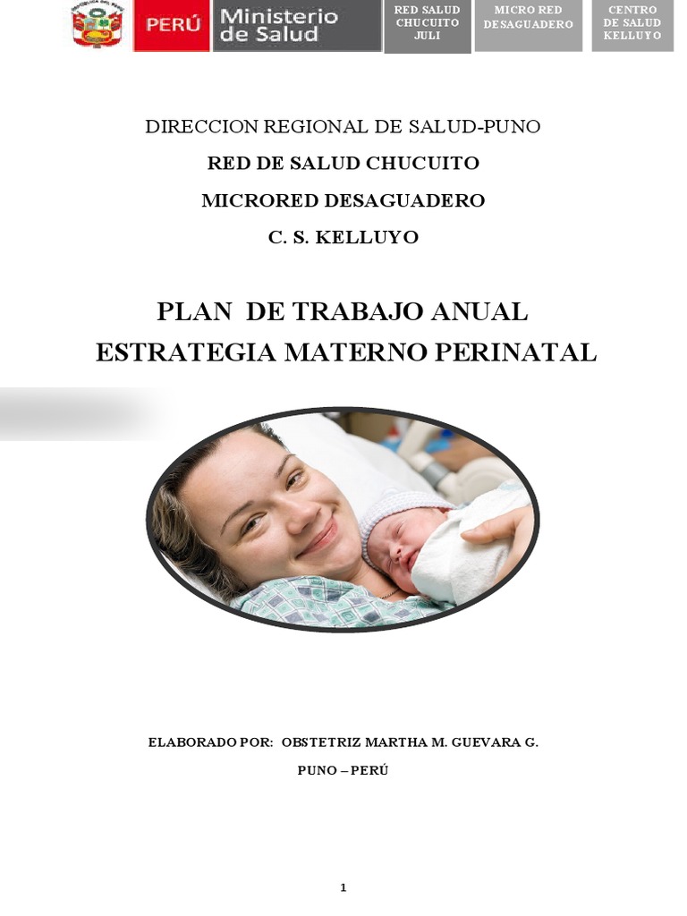 Plan Materno 2023 | PDF | Muerte materna | Salud maternal