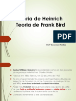 Teorias de HEIRINCH e FRANK BIRD.2023.1