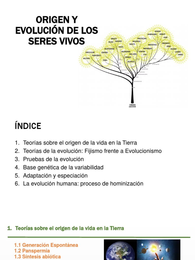 Origen y Evolución de los Seres Vivos | PDF | Evolución | Seleccion natural